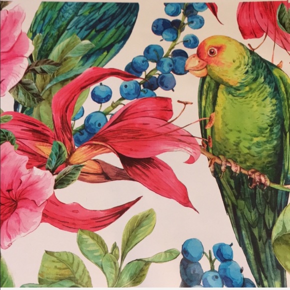50 10X13 Poly Mailers Tropical Parrot Bird PRICE IS FIRM - Picture 10 of 10